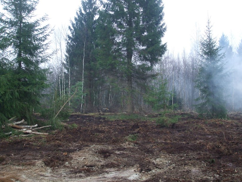 Михаил Андриенко | Санкт-Петербург