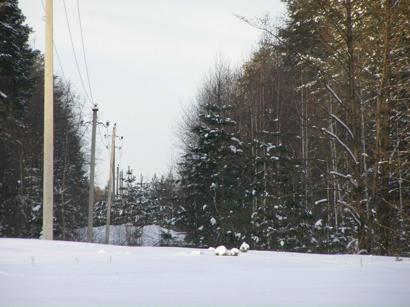 Алексей Друзин | Алатырь
