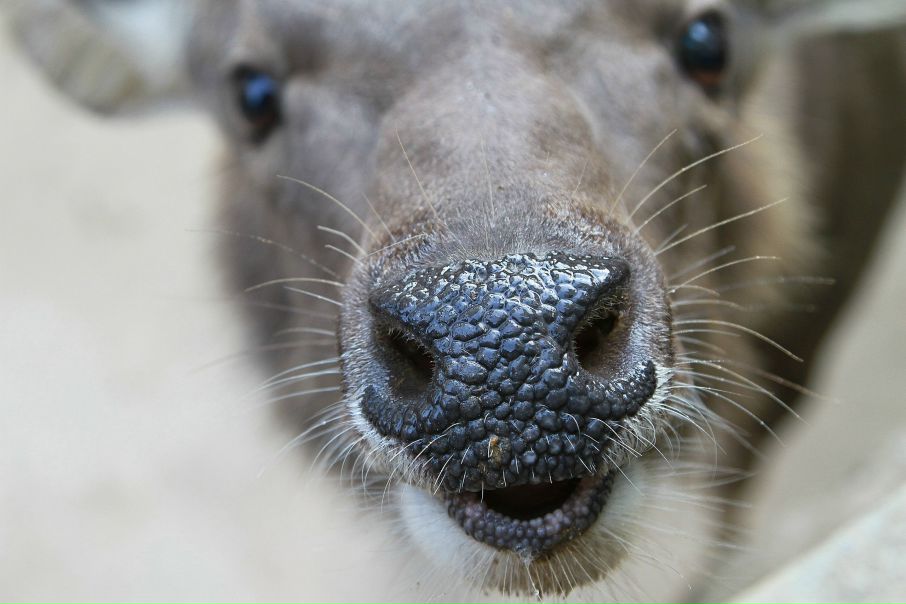 №102, Вера Кузьмина, Москва №102, Вера Кузьмина, Москва