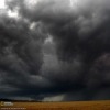 Аватар: Самара Самаритянин