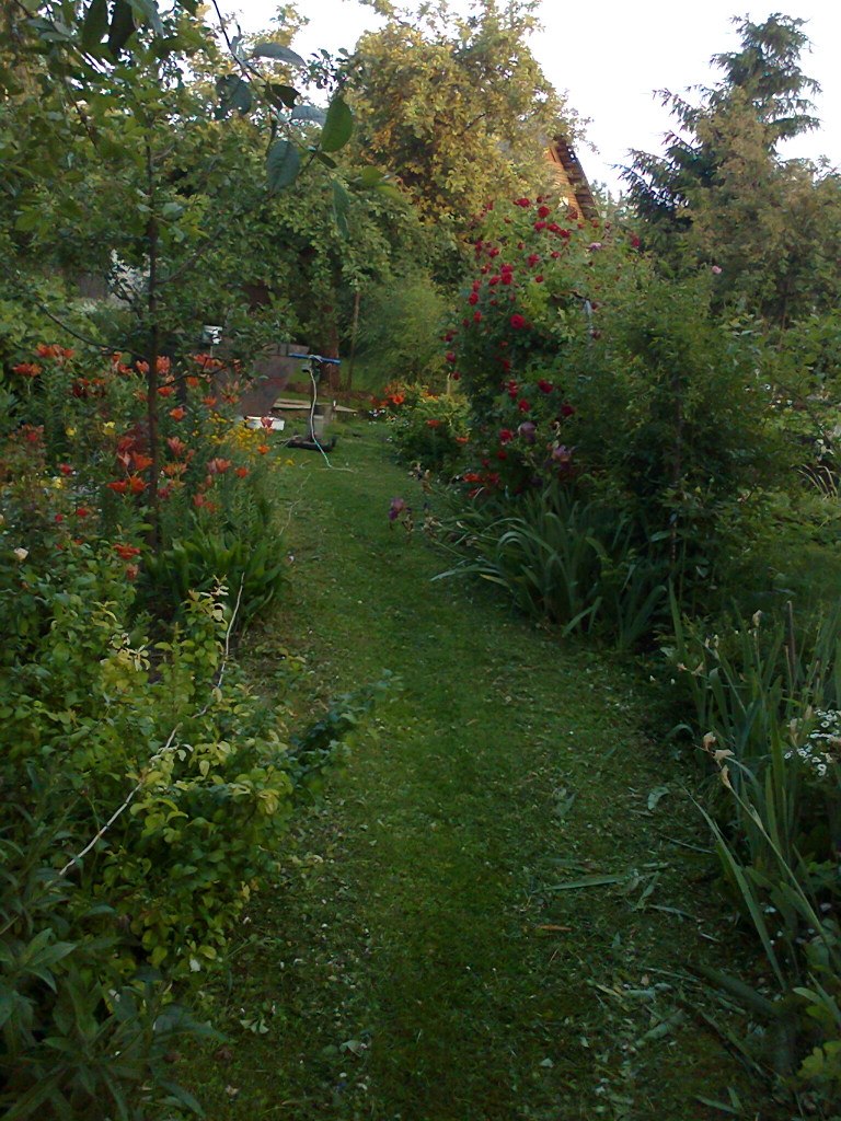 Sofja Devjakovits | Таллин