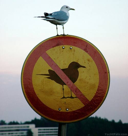 Dora Melisdodigovic | Varaždin