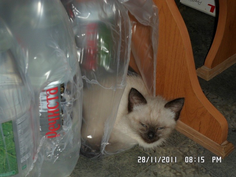 Наталья Дудкина-Зызарова | Нижний Новгород