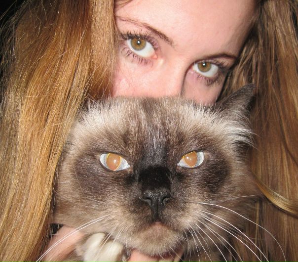 №3, Алиса Шевченко, Киев №3, Алиса Шевченко, Киев