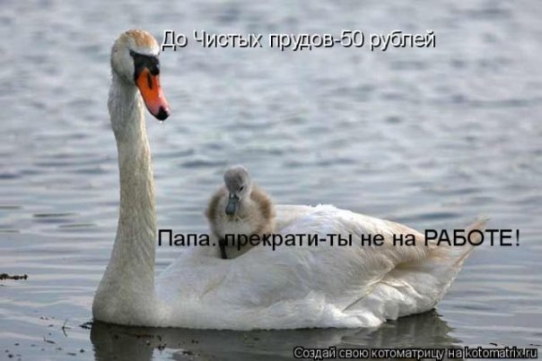 №38, Ирина Жиленко, Днепр (Днепропетровск) №38, Ирина Жиленко, Днепр (Днепропетровск)
