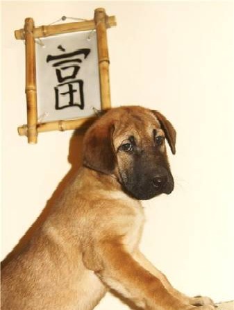 №91, Полина Катеринич №91, Полина Катеринич