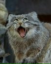 №3 Анастасия Корякова 22.02.1996: профиль, фото, статус - ВКонтакте №3 Анастасия Корякова 22.02.1996: профиль, фото, статус - ВКонтакте