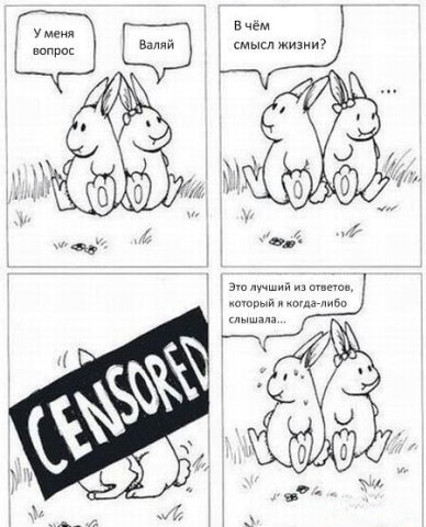 №27, Александр Наумов, 36 лет, Санкт-Петербург №27, Александр Наумов, 36 лет, Санкт-Петербург