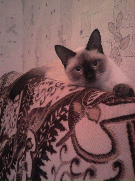 №59, Виктория Лазуткина, Челябинск №59, Виктория Лазуткина, Челябинск