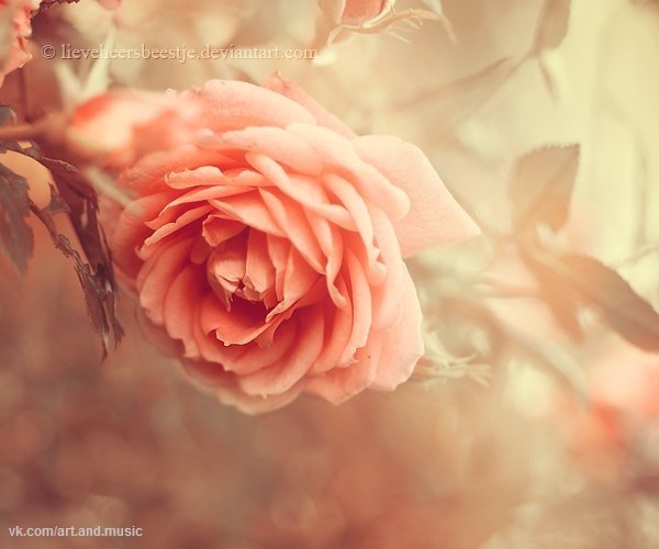 Татьяна Куркова | Омск