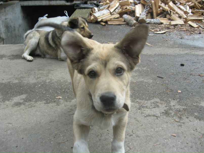 Мария Кибиш | Томск