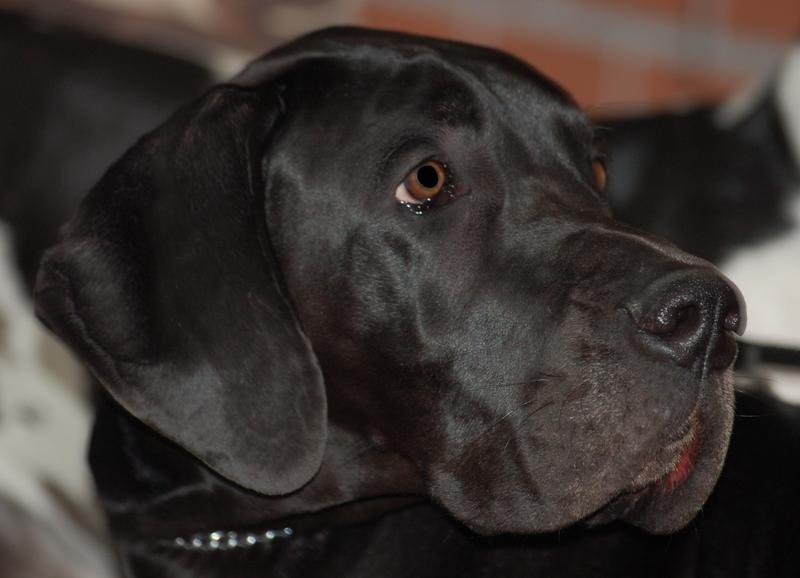 Татьяна Мареева Tatiana M-Z (Jinka) | Москва