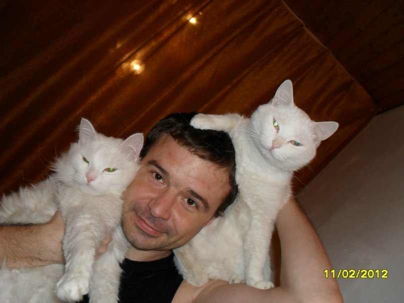 Алекс Владимирович | Нижний Новгород