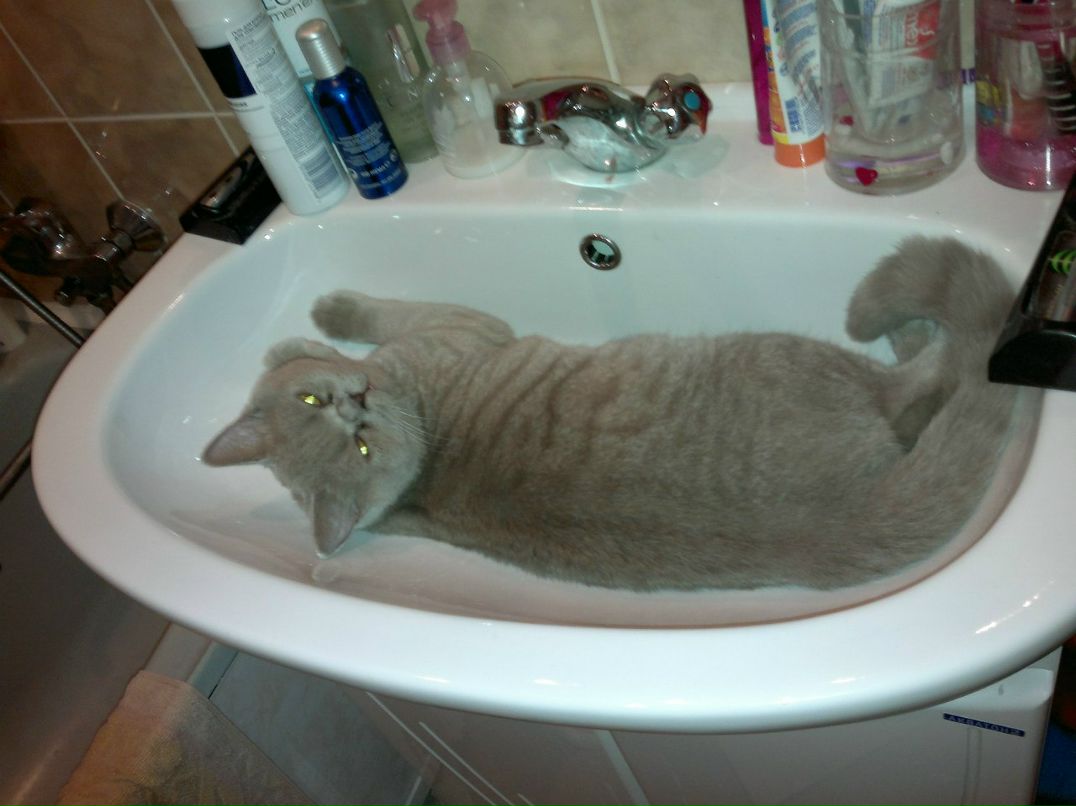 Екатерина Васильева | Санкт-Петербург