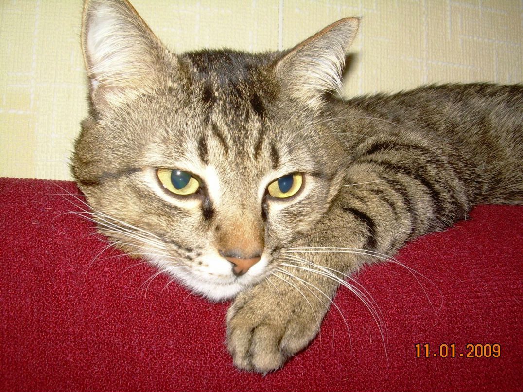 Ольга Красноперова | Сарапул