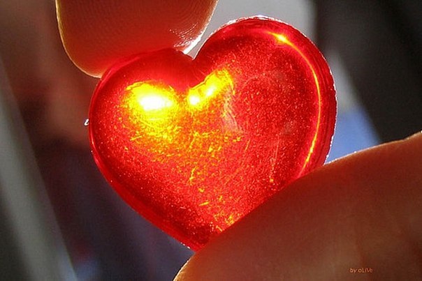 Ксюша Пигор | Киев