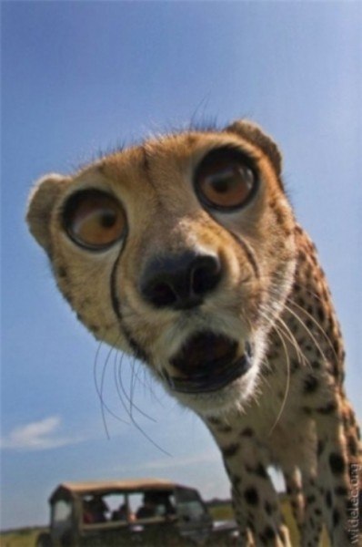 Денис Стороженко Борисович | Киев