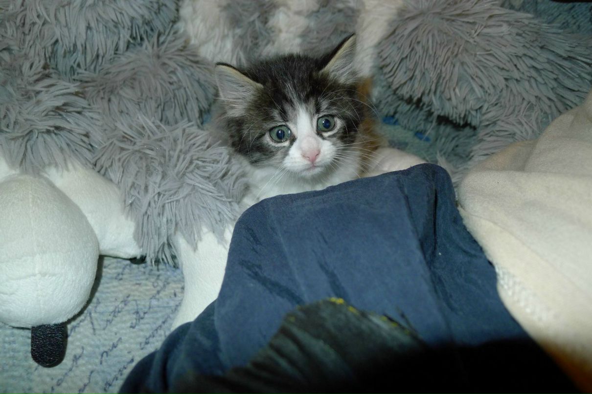 Настена Абрамова | Санкт-Петербург