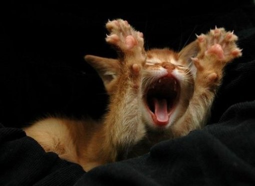 Наталья Бабич | Екатеринбург