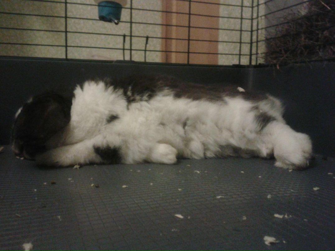 Елена Александровна | Санкт-Петербург