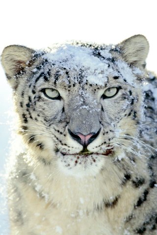Дмитрий Фёдоров | Москва
