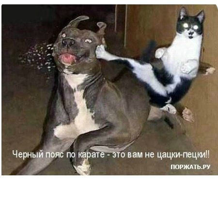 Артем Карапетян | Киев