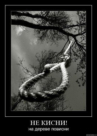 №115, Иван Бочев, Новосибирск №115, Иван Бочев, Новосибирск