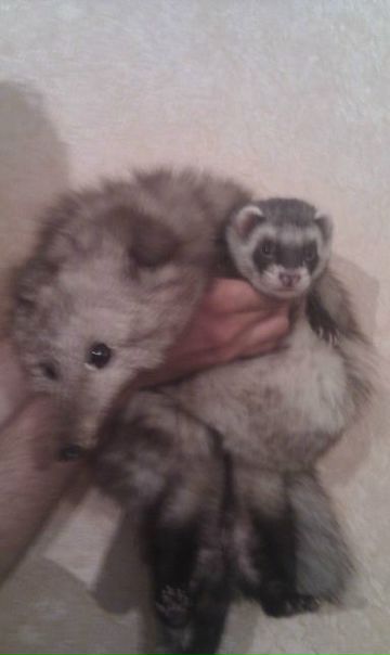 №23, Полина Кананыкина, Москва, Россия №23, Полина Кананыкина, Москва, Россия