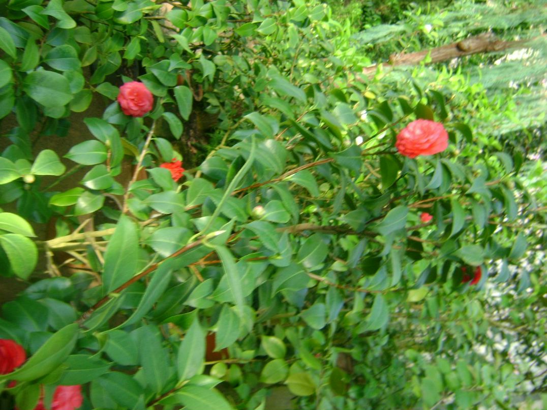 Ольга Кузнецова | Санкт-Петербург