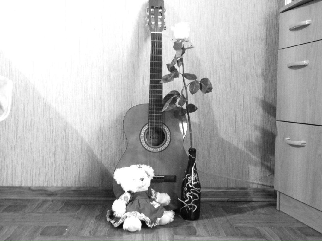 Светлана Дубцких | Пенза