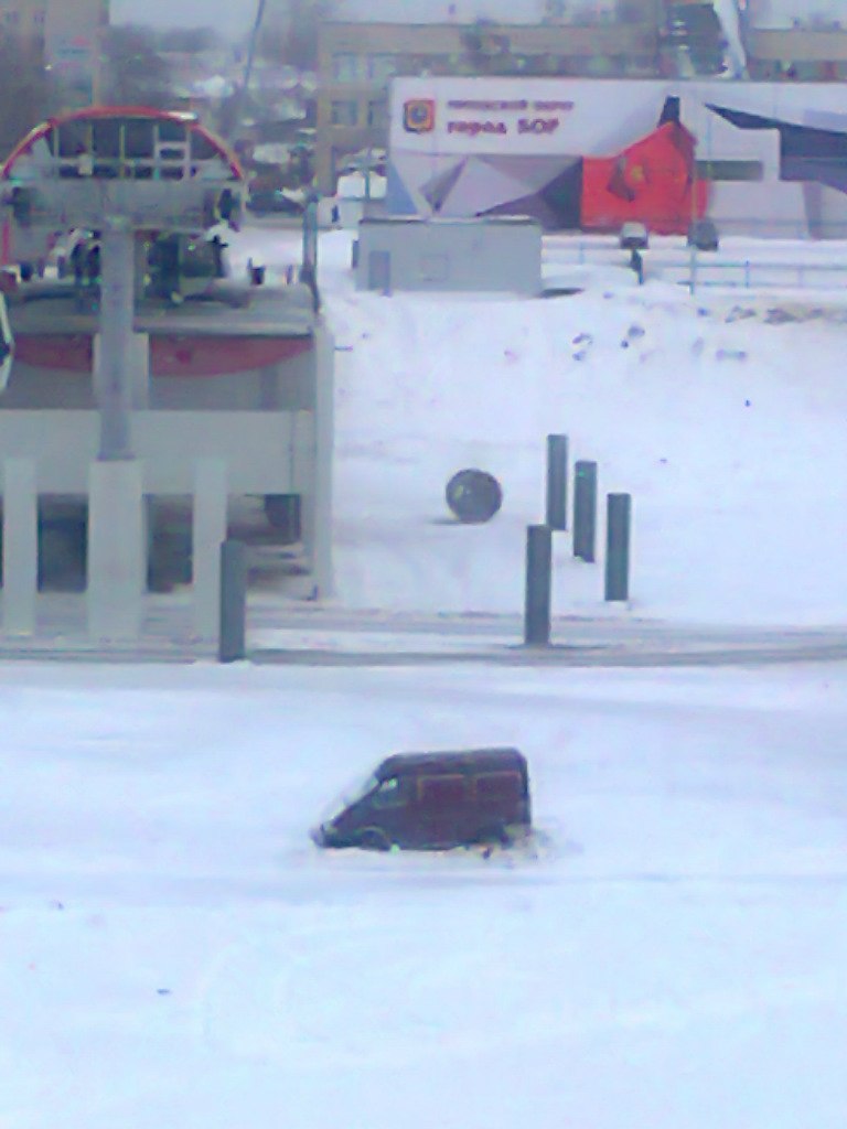 Евгения Белова | Бор