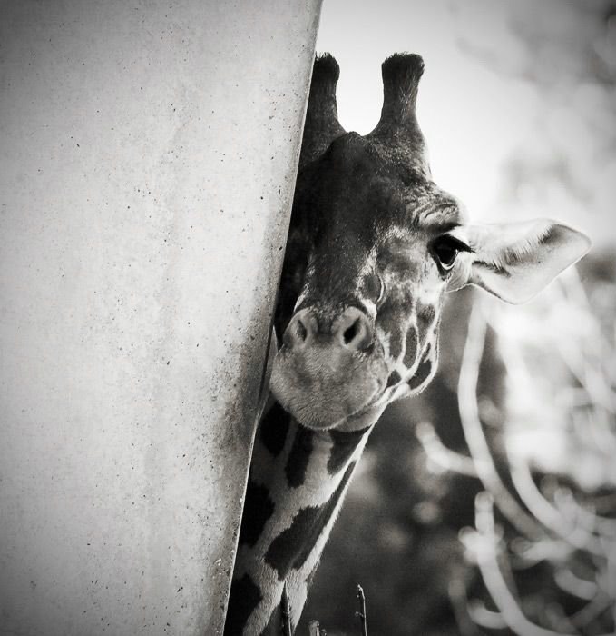 Марина Волкова | Одесса