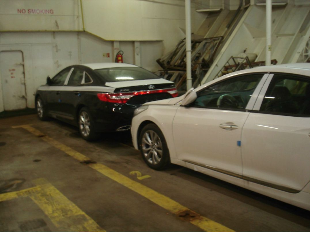 Станислав Чернышов | Новороссийск