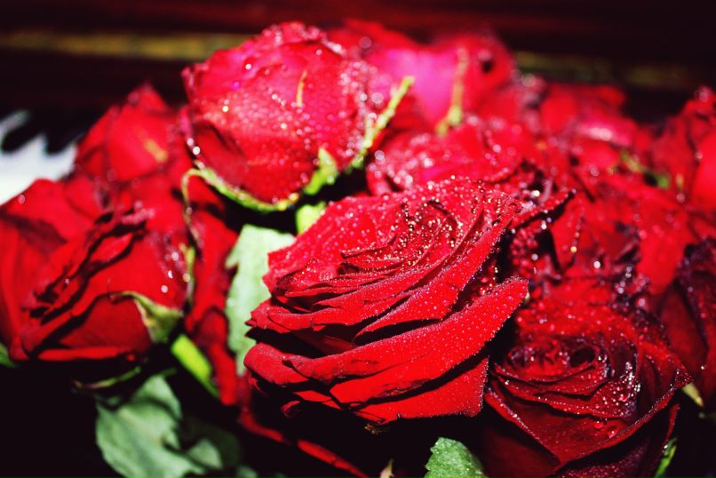 Женя Масягина | Москва