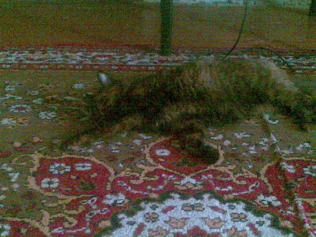 Ксения Зарецкая $$$ KSJUTA $$$ | Гаджиево