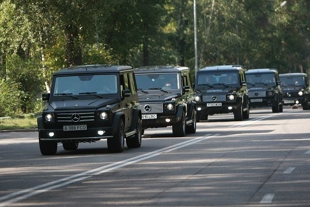 Александр Печерица | Кропивницкий / Кировоград