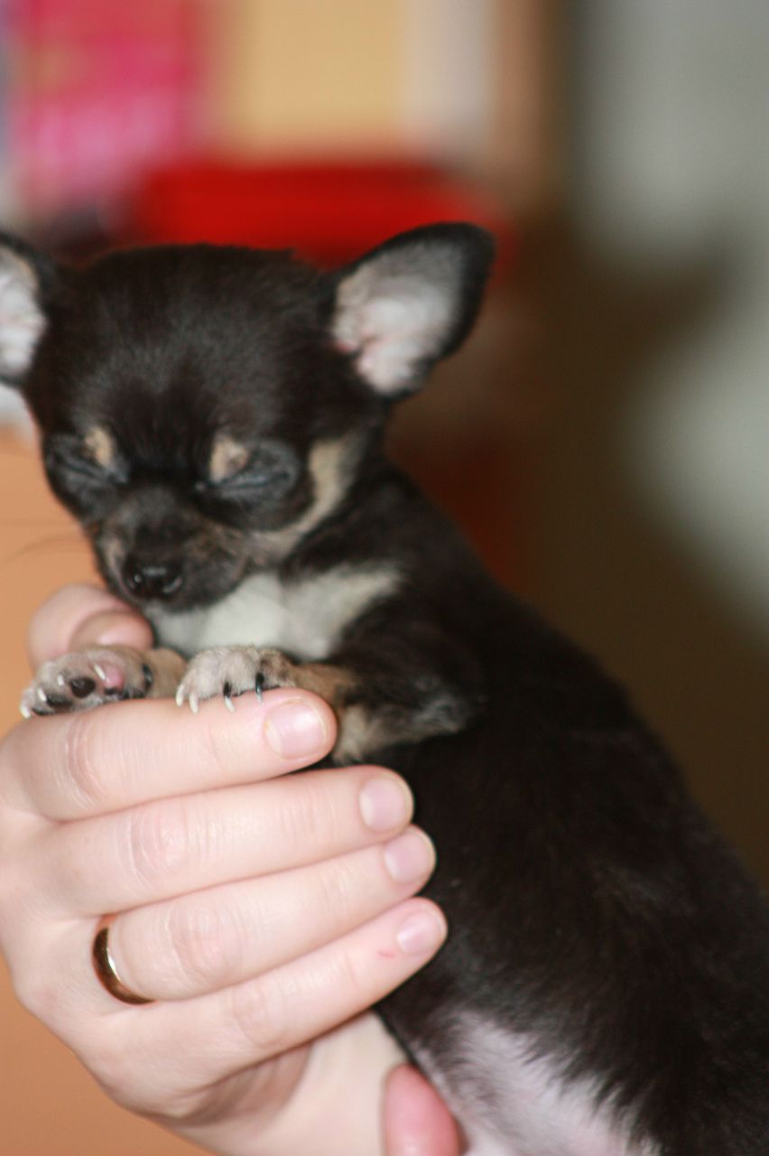 Марина Гранкина | Сергиев Посад