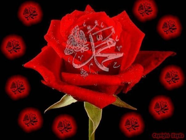 Азалия Хаирзаманова | Челябинск