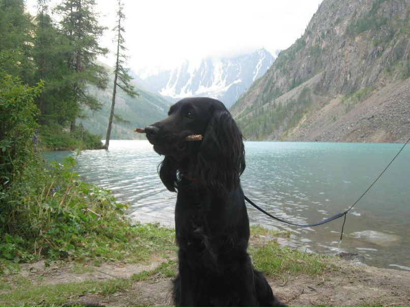 Дмитрий Андреев | Кемерово