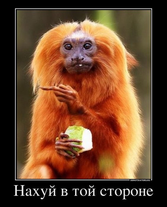 Марина Смиян | 