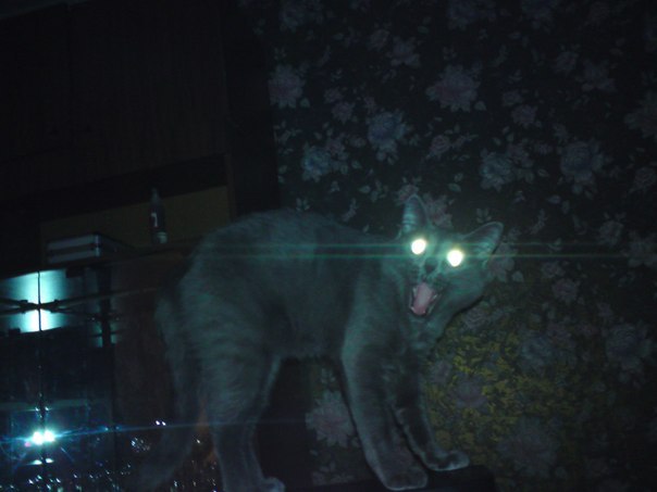 Vova Balanovskiy Евгеньевич | Донецк