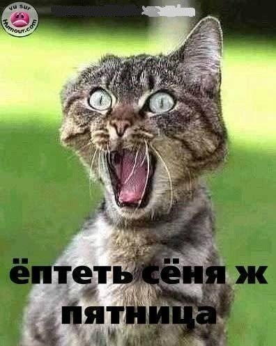 Катерина Иванова | Санкт-Петербург