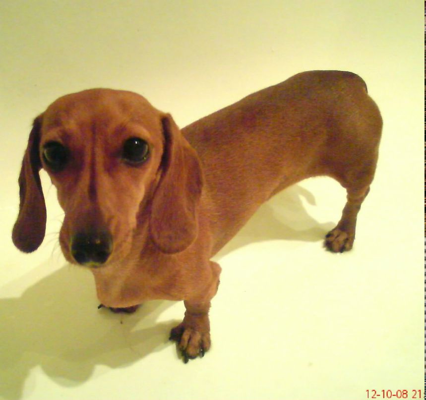 Ans Ex | Москва