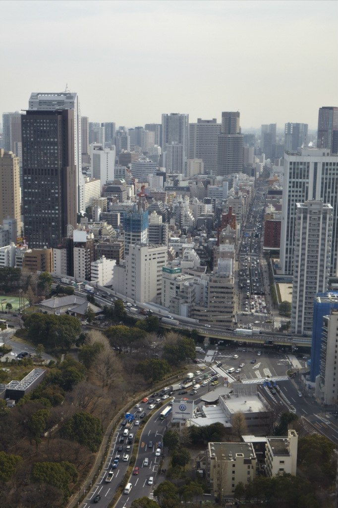 Виталий Ванчугов | Брянск