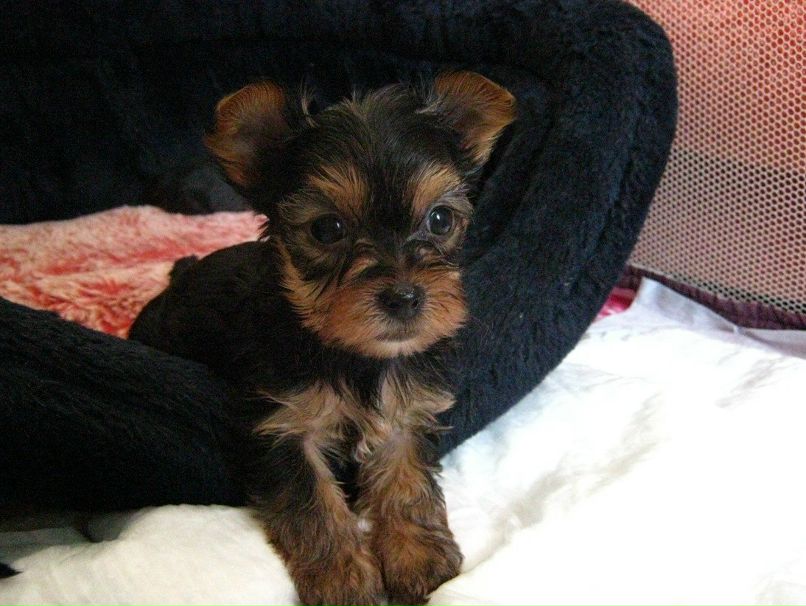 Алина Тухватуллина ♥ alisha ♥ | Салават