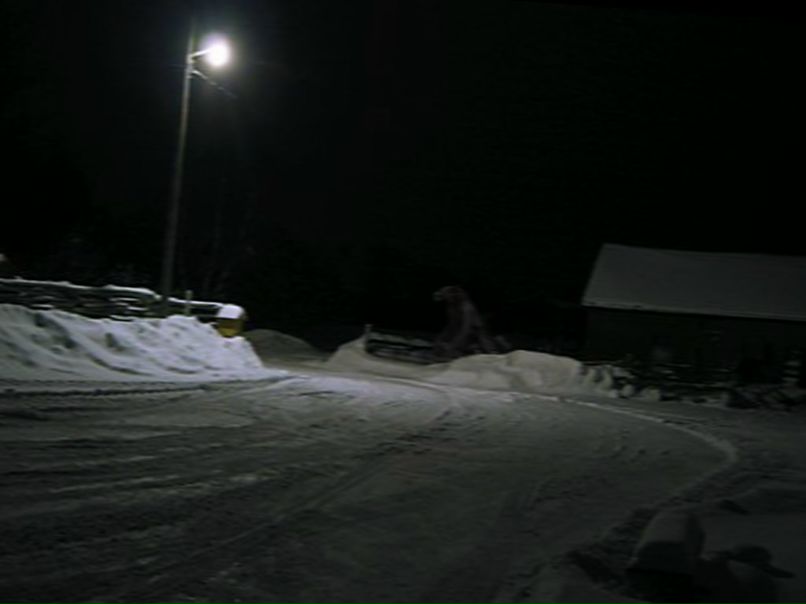 Андрей Цырцаки | Одесса