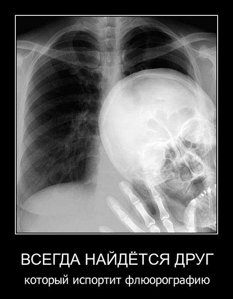 Анна Елисеева | Череповец
