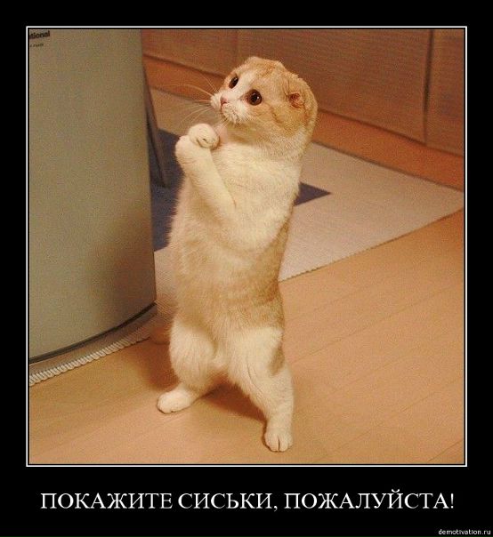 №6, Денис Крутиков, 37 лет, Ичня №6, Денис Крутиков, 37 лет, Ичня