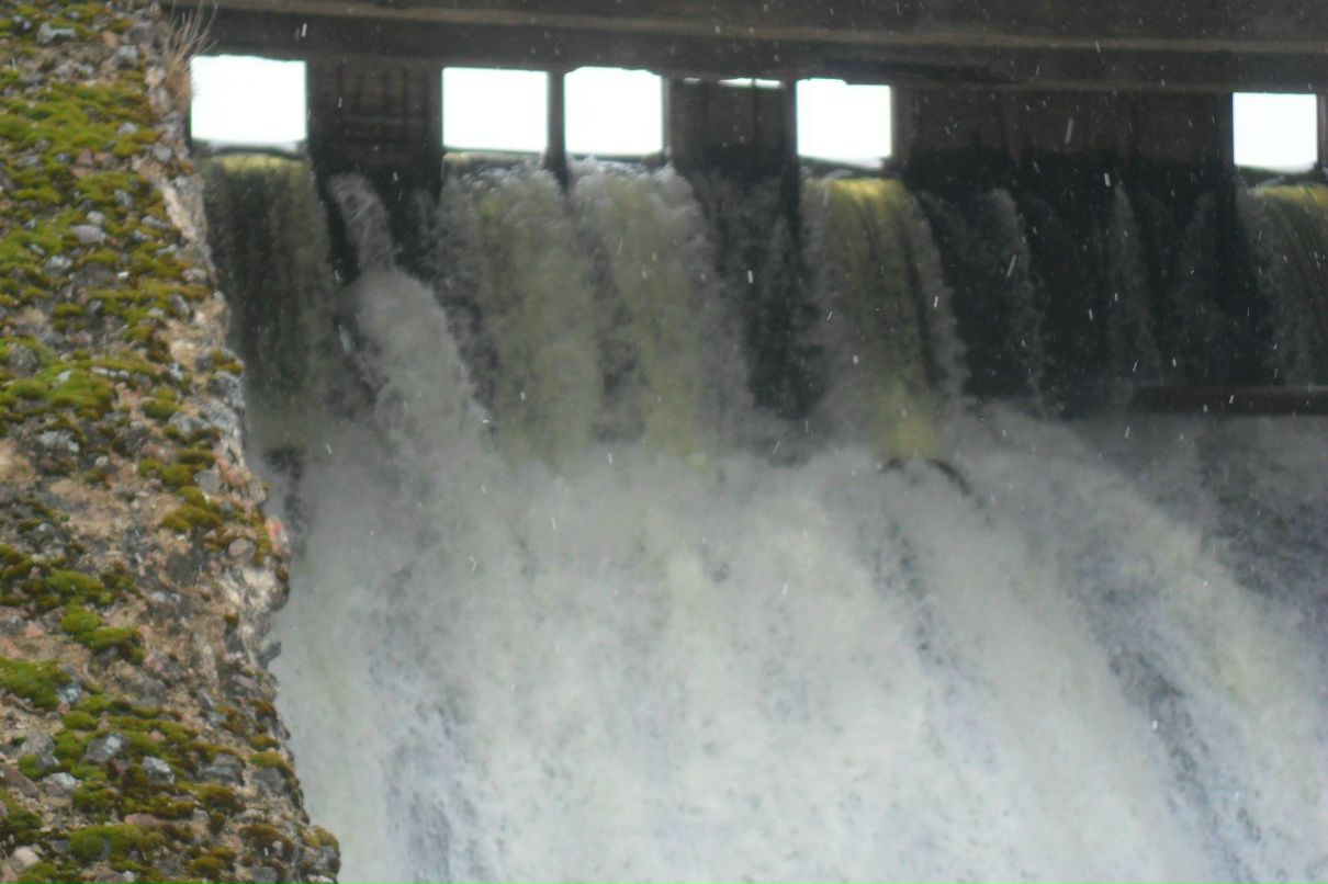 Александр Сорокин Sax | Кингисепп