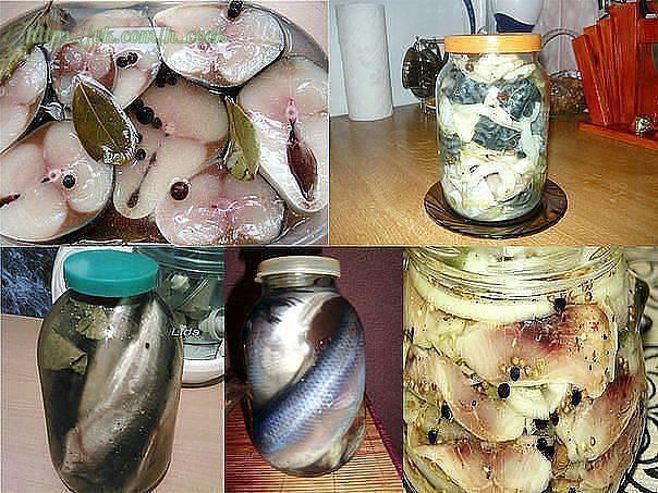 12 рецептов домашнего посола скумбрий, сельди, кильки и мойвы!!! соленая скумбрия по рецепту «старого моряка» ингредиенты и приготовление: как только рыба чуть подтаяла, помыла ее, отрезала ...
